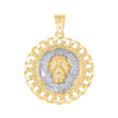 10kt Two-Tone Gold Lion Face Leo Animal Medallion Charm Pendant