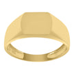10kt Yellow Gold Mens Signet Fashion Ring - SLV-109271