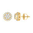 925 Sterling Silver Yellow-Tone Mens Cubic-Zirconia Flower Stud Earrings