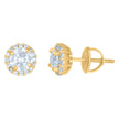 925 Sterling Silver Yellow-Tone Womens Cubic-Zirconia Round Fashion Stud Earrings