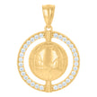 10kt Yellow Gold Mens Cubic-Zirconia World Map Charm Pendant