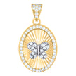 10kt Two-tone Gold Womens Cubic-Zirconia Oval Medallion Butterfly Insect Wildlife Charm Pendant