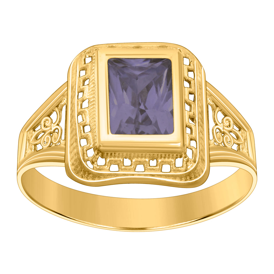 10kt Yellow Gold Womens Purple Emerald-cut Cubic-Zirconia February Birthstone Ring