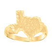 10kt Yellow Gold Womens Diamond-Cut Texas American State Globe Maps Ring 
