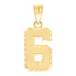 10kt Yellow Gold Unisex Initial Number 6 Charm Pendant