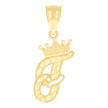 10kt Yellow Gold Unisex Crown F Alphabet Initial Charm Pendant