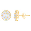 10kt Yellow Gold Womens Oval Round Cubic-Zirconia Fashion Stud Earrings