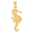 10kt Yellow Gold Womens Seahorse Animal Charm Pendant