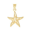 10kt Yellow Gold Unisex Star Fish Sea Life Charm Pendant