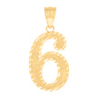 10Kt Yellow Gold Unisex Number 6 Charm Pendant