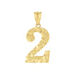 14kt Yellow Gold Unisex Nugget Initial Number 2 Charm Pendant 