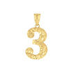 14kt Yellow Gold Unisex Nugget Initial Number 3 Charm Pendant 