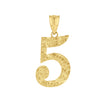 14kt Yellow Gold Unisex Nugget Initial Number 5 Charm Pendant 