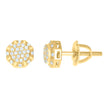 925 Sterling Silver Womens Yellow-tone 0.22ct Moissanite Octagon Fashion Stud Earrings
