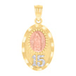 14kt Tri-Color Gold Womens Anos 15 Guadalupe Religious Charm Pendant