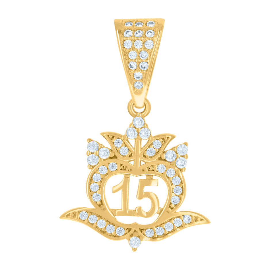 10kt Yellow Gold Womens Cubic-Zirconia Apple Shaped 15 Quinceanera Charm Pendant 