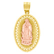 10kt Two-Tone Gold Unisex Lady Of Guadalupe Religious Charm Pendant