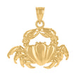 10kt Yellow Gold Diamond-Cut Unisex Crab Animal Charm Pendant