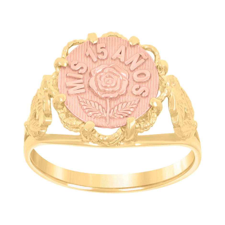 10kt Two-Tone Gold Womens Textured Mis 15 Anos Heart Engagement Ring