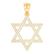 10kt Two-Tone Gold Mens Cubic Zirconia Star Of David Religious Charm Pendant