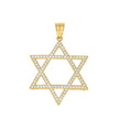 10kt Two-Tone Gold Mens Cubic Zirconia Cubic-Zirconia Star Of David Charm Pendant